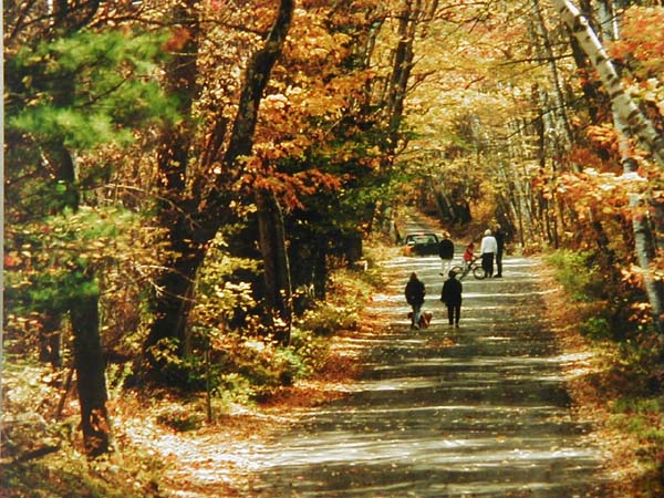 Lafayette Road in the Fall